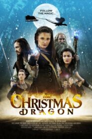 ดูหนัง The Christmas Dragon มังกรคริสต์มาส ผจญแดนมหัศจรรย์ (2014)