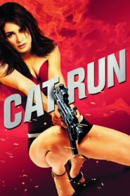 Cat Run แก๊งค์ป่วน ล่าจารชน (2011) ดูหนังสนุกพากย์ไทยฟรี