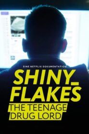 Shiny Flakes The Teenage Drug Lord ชายนี่ เฟลคส์ เจ้าพ่อยาวัยรุ่น (2021) ดูหนังมาใหม่ฟรี