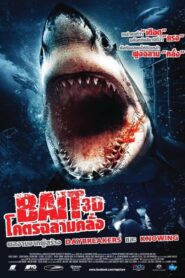 ดูหนังออนไลน์เรื่อง Bait โคตรฉลามคลั่ง (2012) เต็มเรื่อง