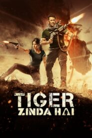 Tiger Zinda Hai 2017 ดูหนังบู๊ระทึกขวัญฟรีไม่มีกระตุก