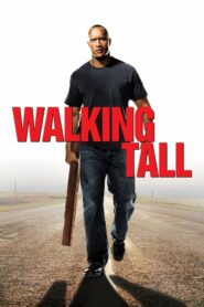 Walking Tall ไอ้ก้านยาว (2004) ดูหนังแบบชัดระดับ FullHD