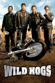 Wild Hogs สี่เก๋าซิ่งลืมแก่ (2007) สัมผัสความสนุกที่ลืมไม่ลง