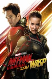 Ant Man And The Wasp แอนท์ แมน และ เดอะ วอสพ์ (2018) มาร์เวล
