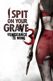 I Spit On Your Grave เเค้นต้องตาย (2010)